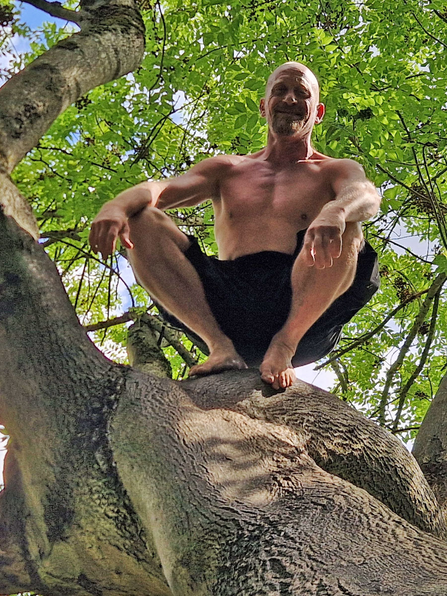 on tree 01